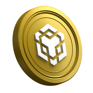 Jeton de cryptomonnaie Binance BNB affiché sur la page du guide destiné aux traders débutants
